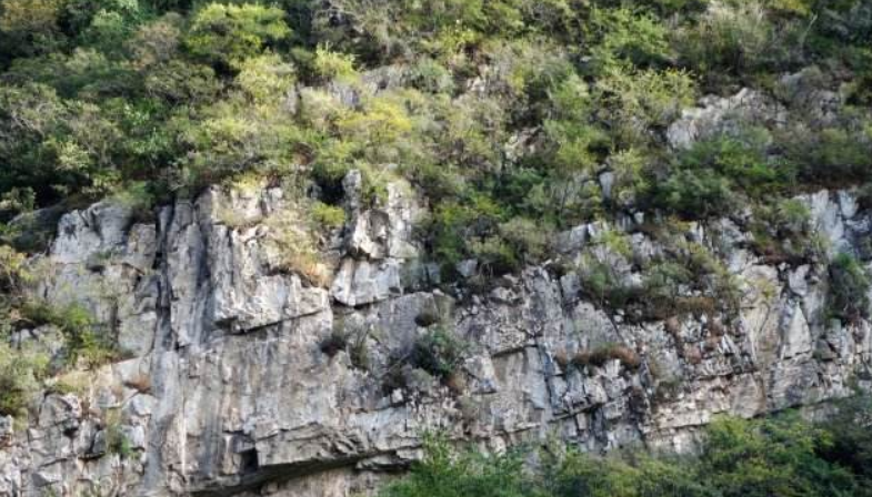 房山区大安山乡卫生服务中心开展控烟知识培训会