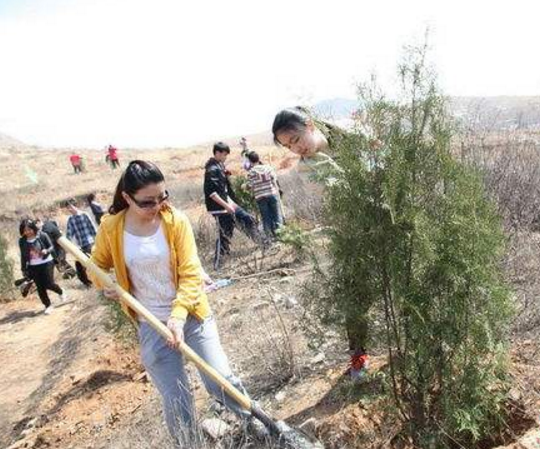 房山区张坊镇公厕和垃圾池升级改造提升农村人居环境